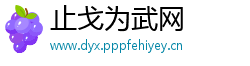 止戈为武网